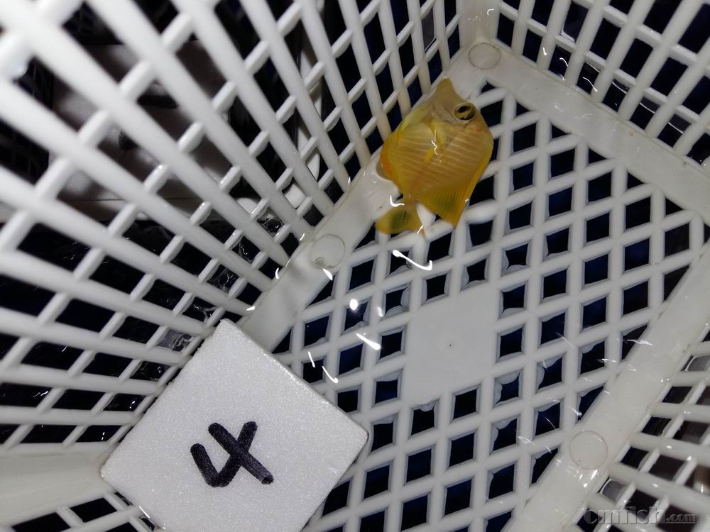 С 20160920_015656.jpg