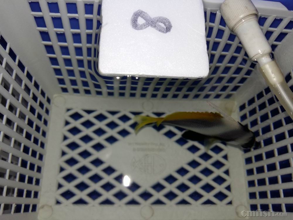 С 20160920_015438.jpg