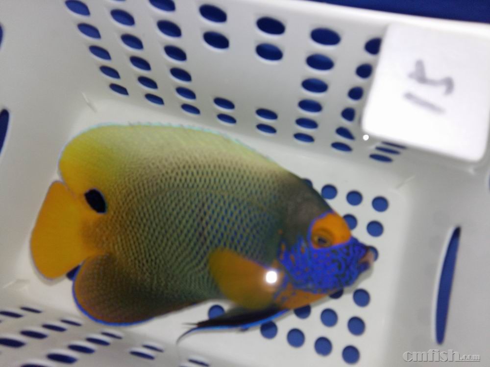 С 20160922_091421.jpg