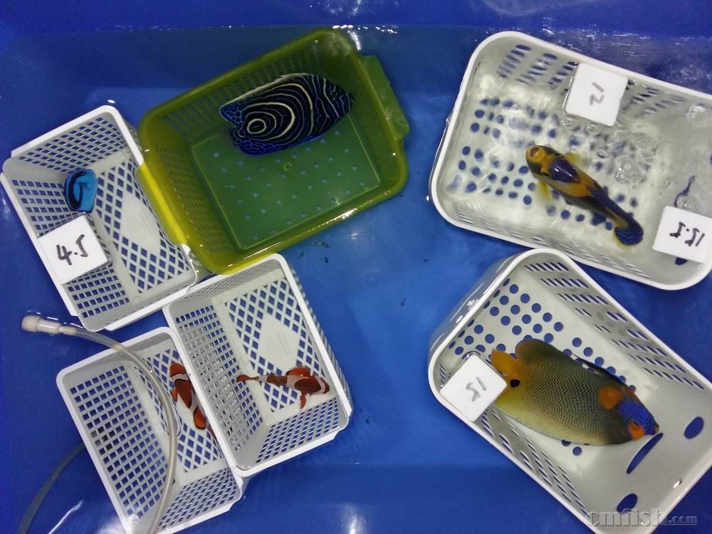 С 20160922_091411.jpg