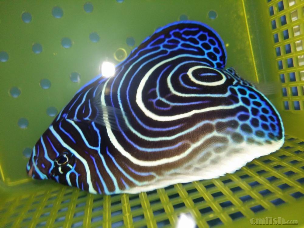 С 20160922_091440.jpg