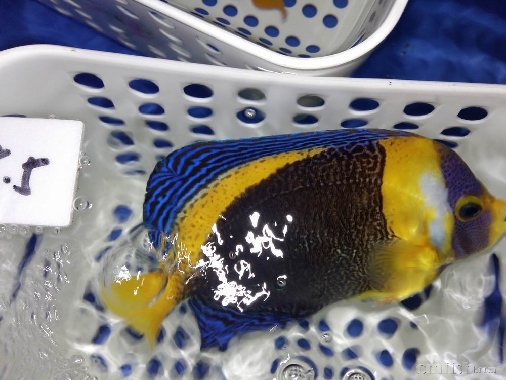 С 20160922_091432.jpg