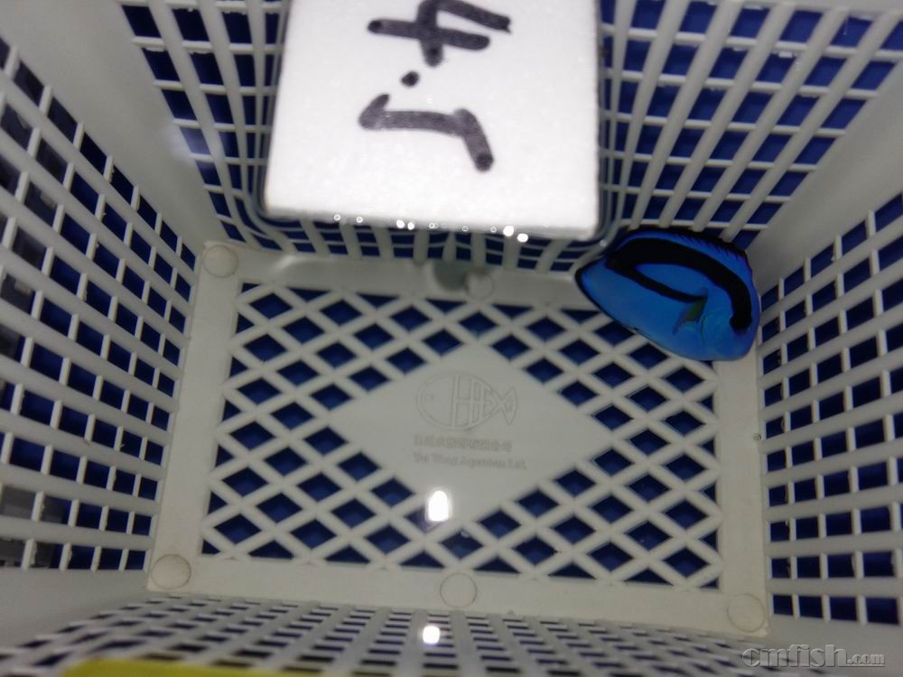 С 20160922_091448.jpg