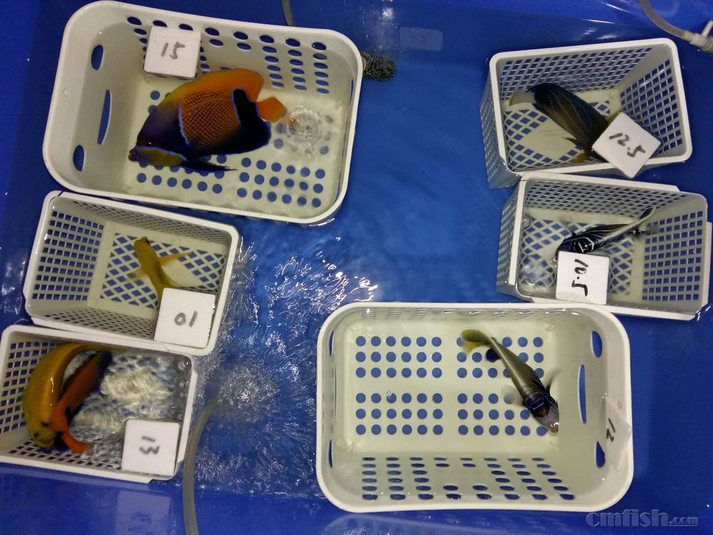 С 20160923_043644.jpg