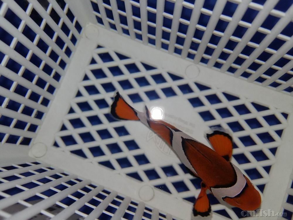 С 20160922_091510.jpg