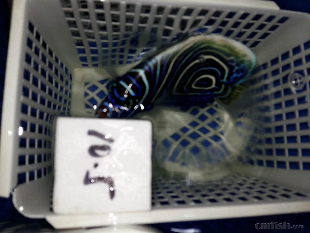 С 20160923_043705.jpg