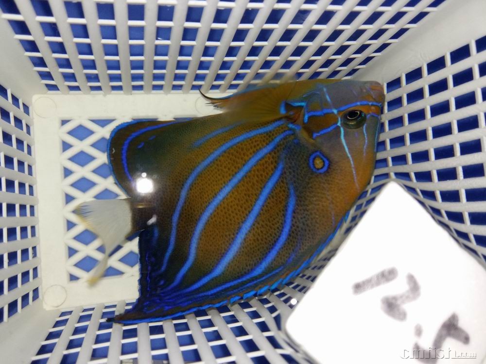 С 20160923_043657.jpg