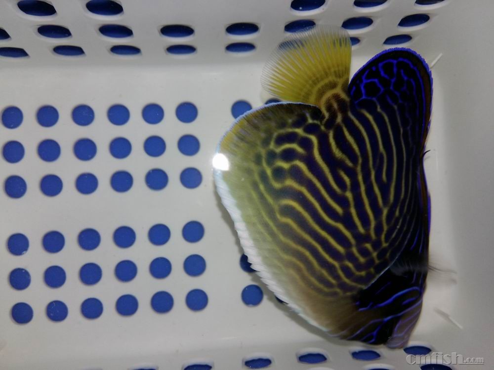 С 20160923_043708.jpg