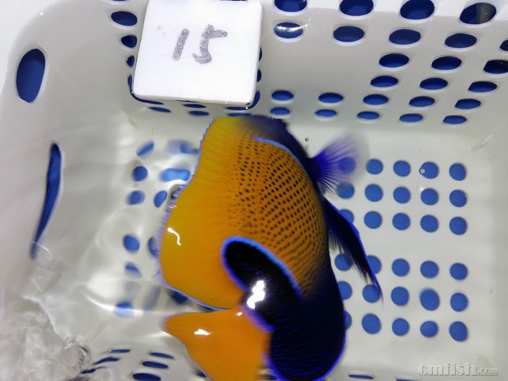 С 20160923_043738.jpg