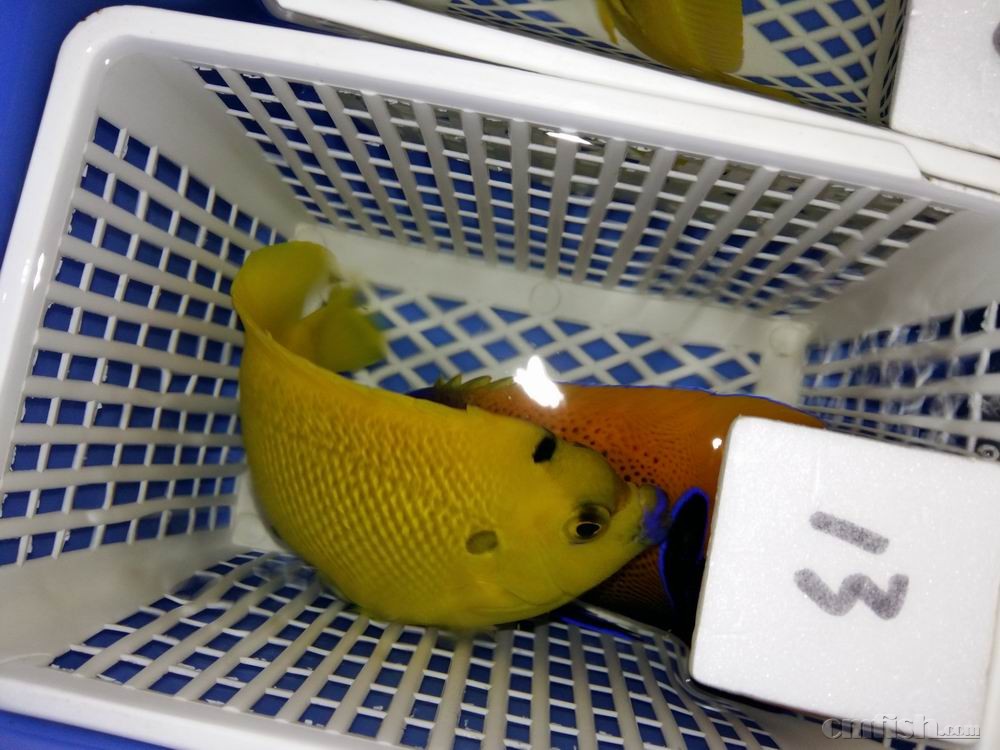 С 20160923_043750.jpg