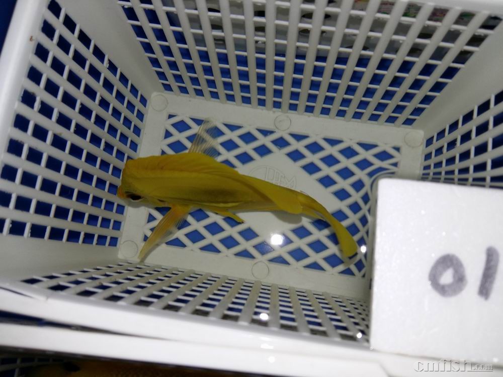 С 20160923_043744.jpg