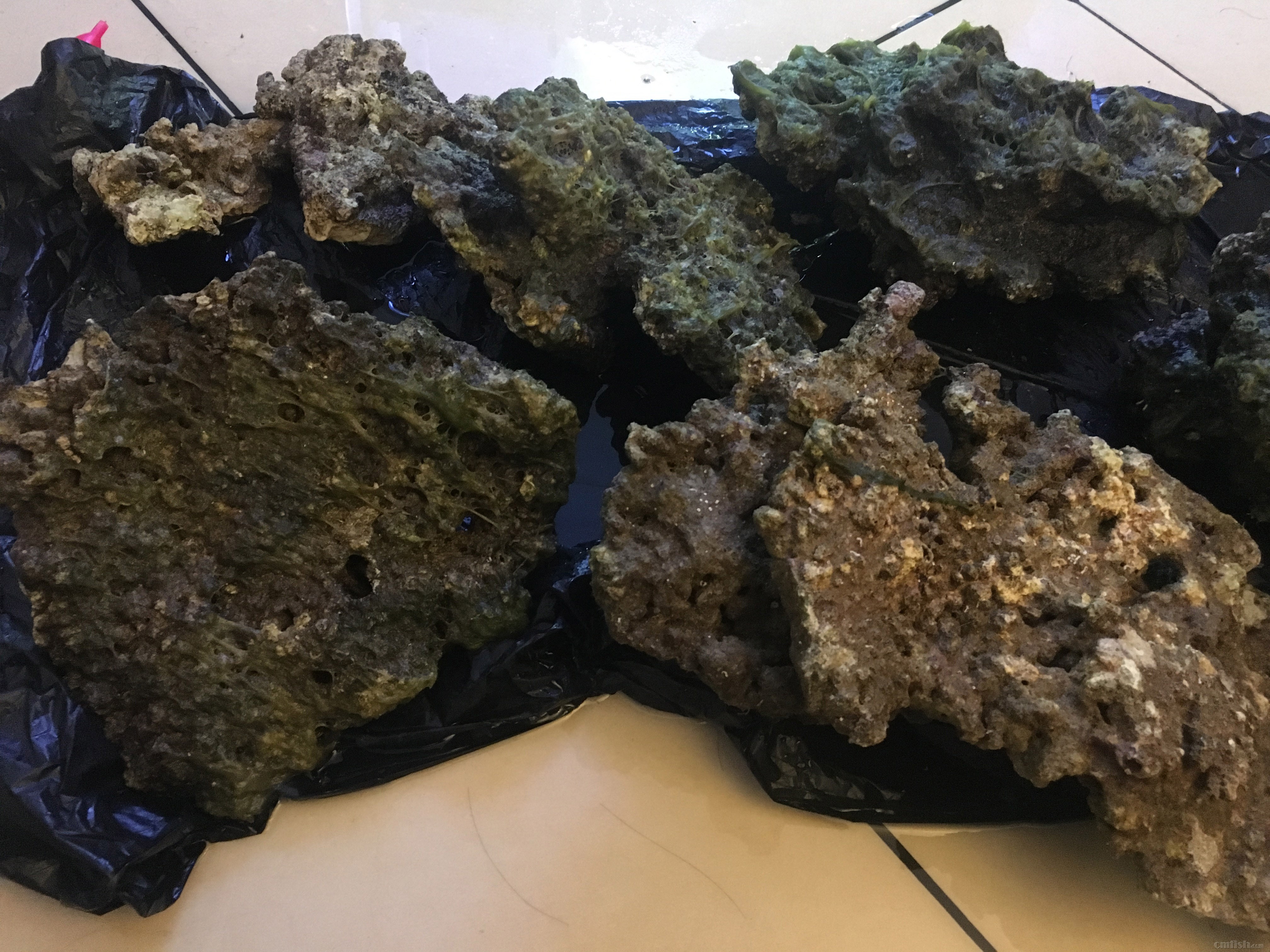 活石太大造景问题请教有两块活石较大请教大家是否需要改造有图有尺寸