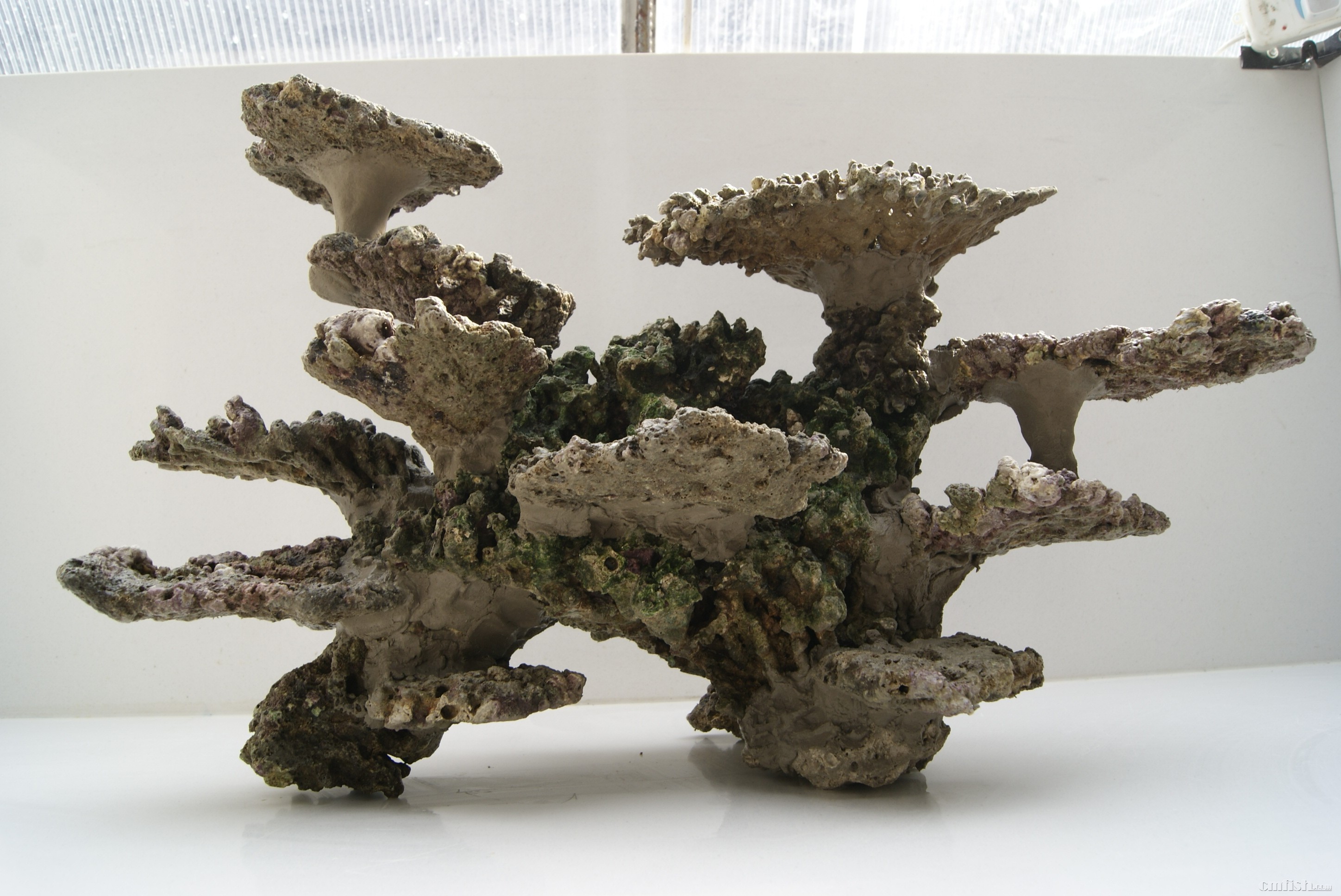 活石太大造景问题请教有两块活石较大请教大家是否需要改造有图有尺寸