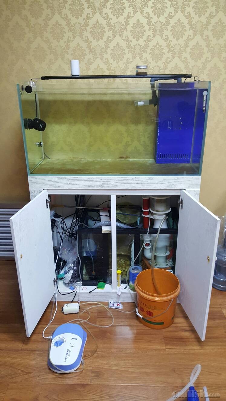 出一米实木底滤缸带灯1000