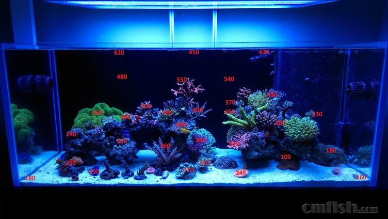 Original Shot with 100 Percent LED.jpg