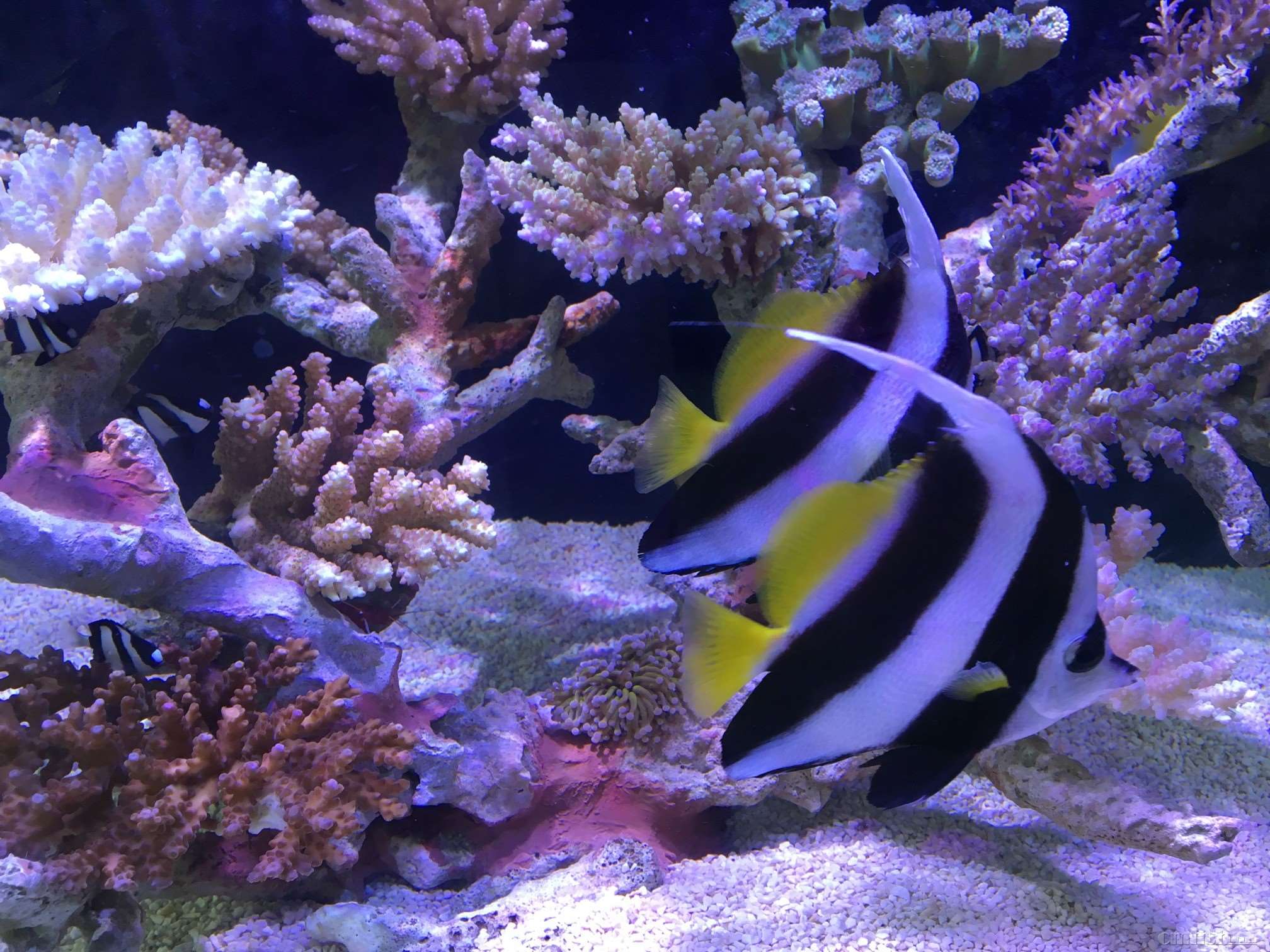 2016-11-12 092722.jpg
