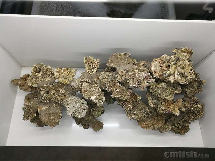 IMG_20161127_165917 ����.jpg