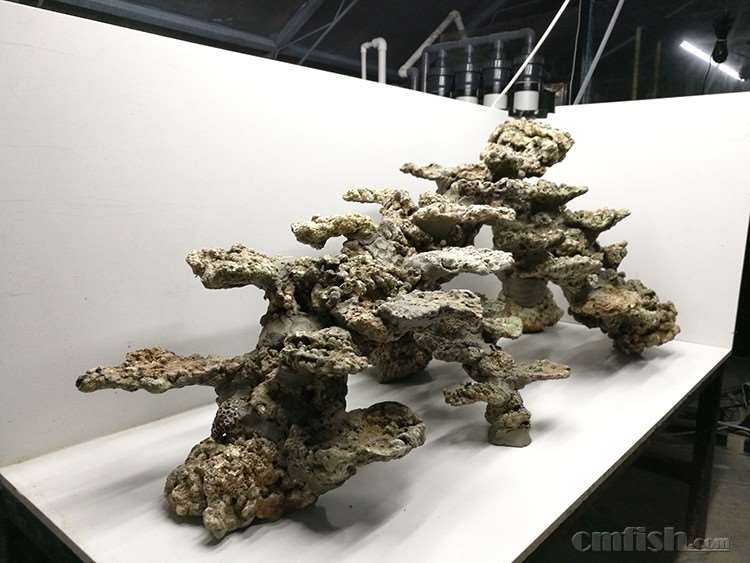 IMG_20161127_170101 ����.jpg