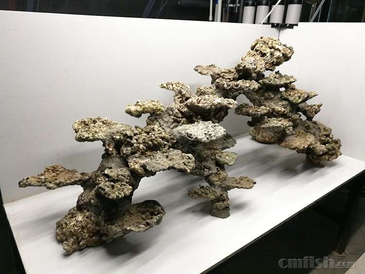 IMG_20161127_170138 ����.jpg