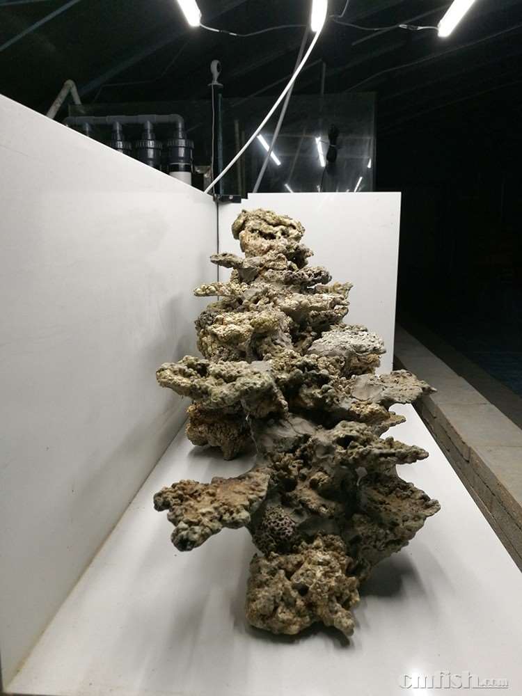 IMG_20161127_170215 ����.jpg