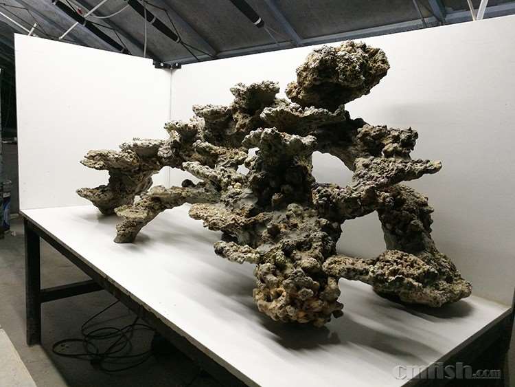 IMG_20161127_170413 ����.jpg