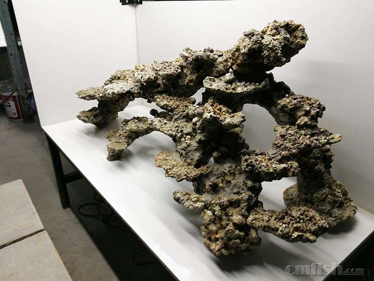 IMG_20161127_170435 ����.jpg