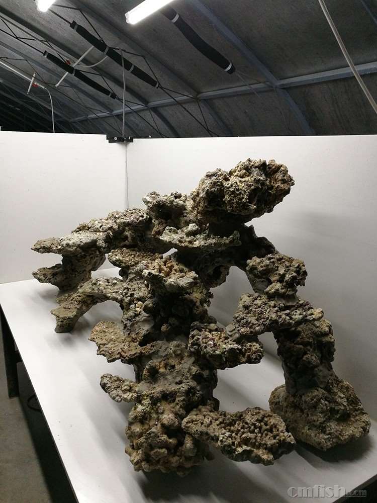 IMG_20161127_170453 ����.jpg