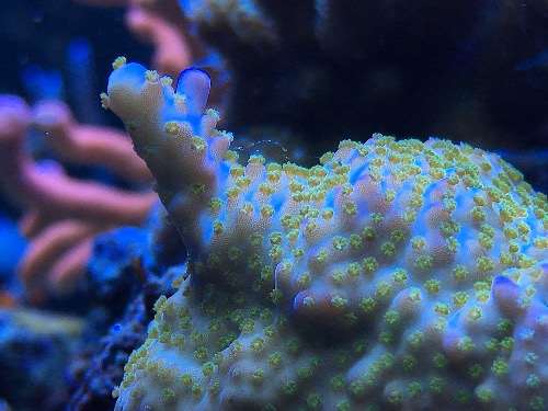 IMG_7541.JPG