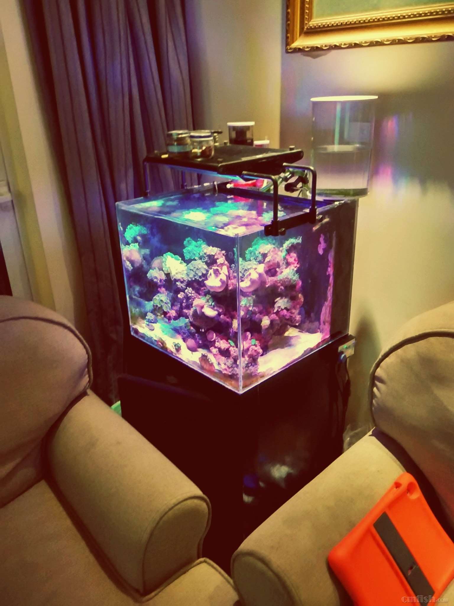 捷宝jebao2016海水系列-sw系列造浪泵 试用活动报名贴