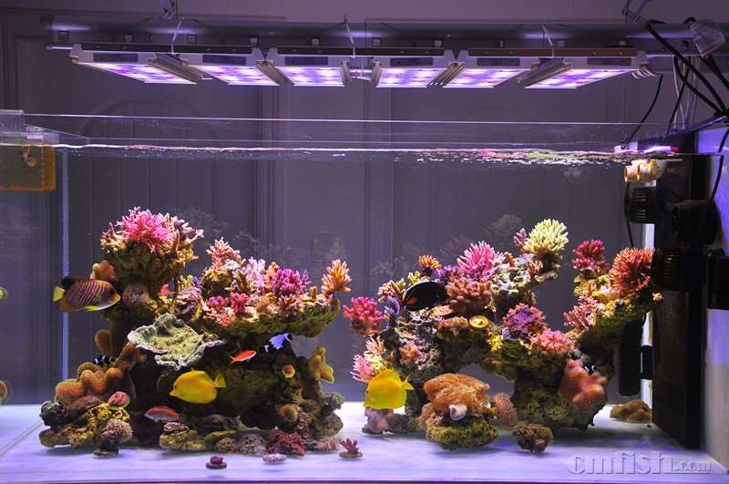 DSC_2440_副本.jpg