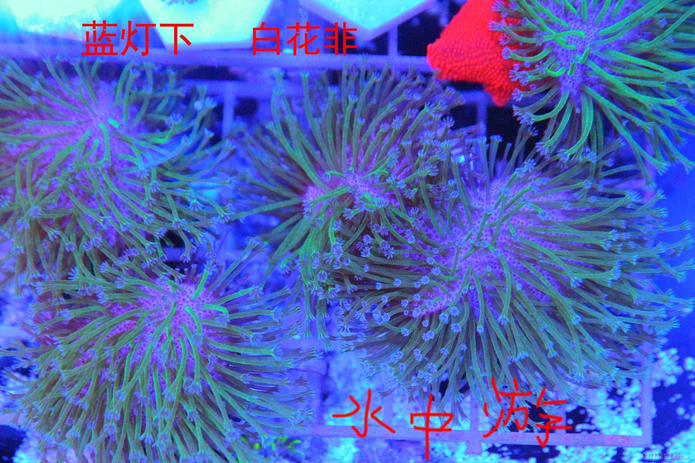 IMG_0019 ����.jpg