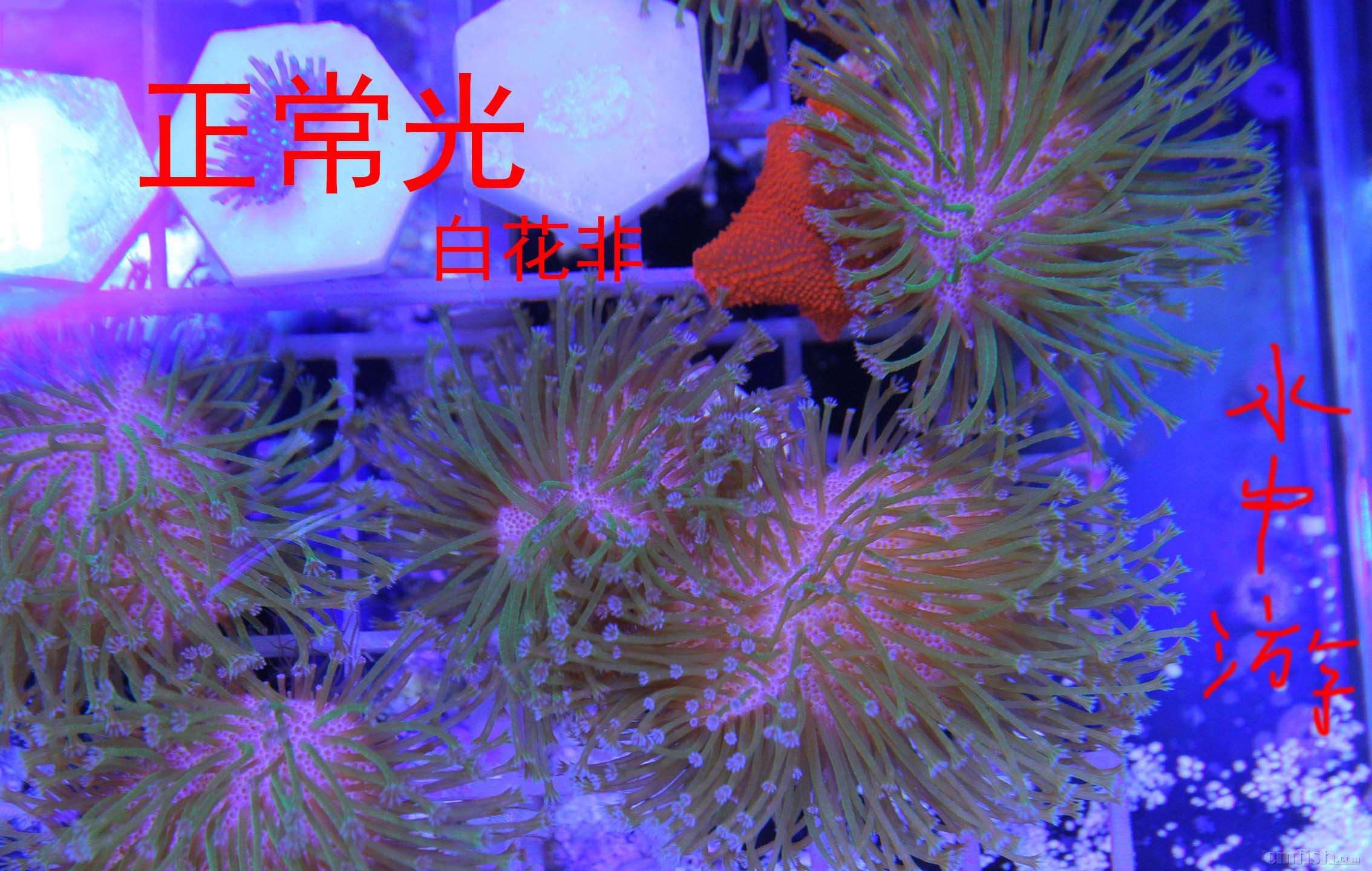 IMG_0034 ����.jpg