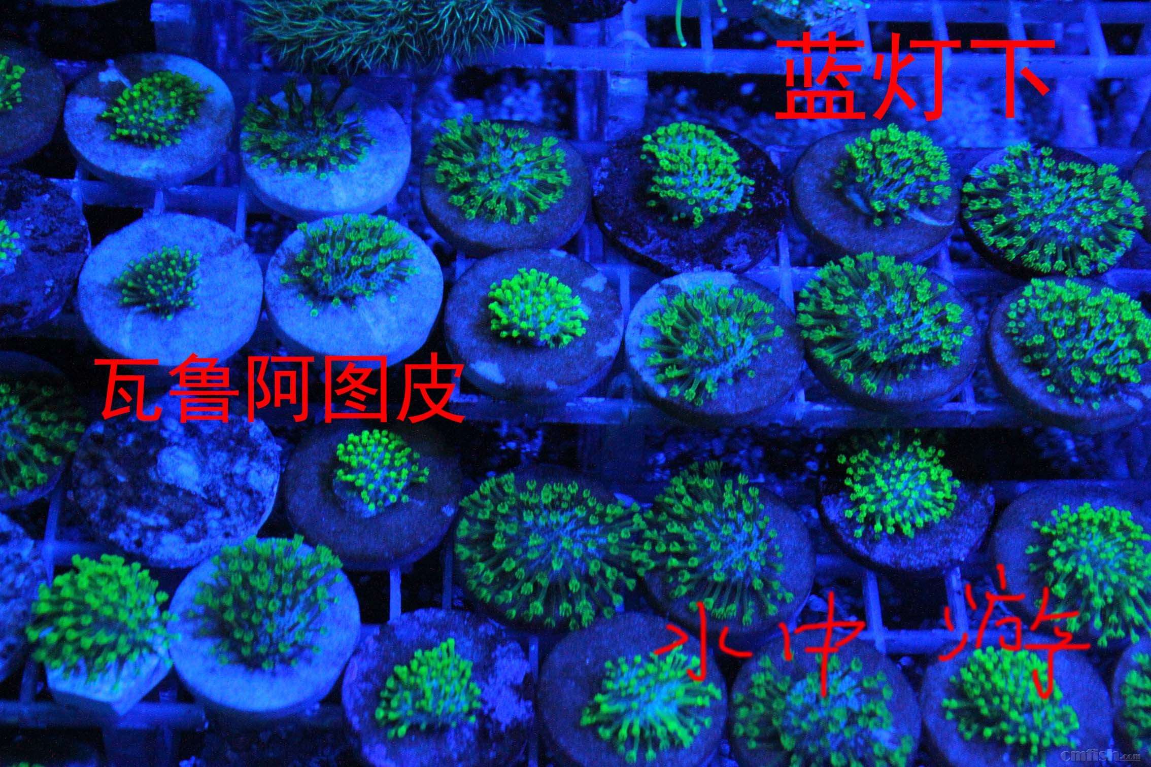 IMG_0026 ����.jpg