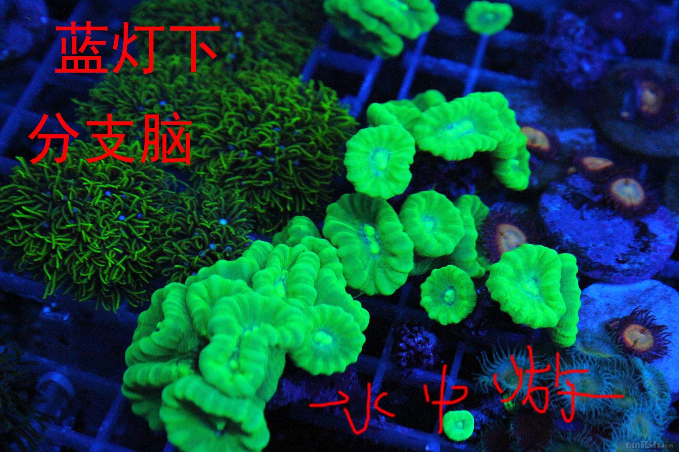 IMG_0027 ����.jpg