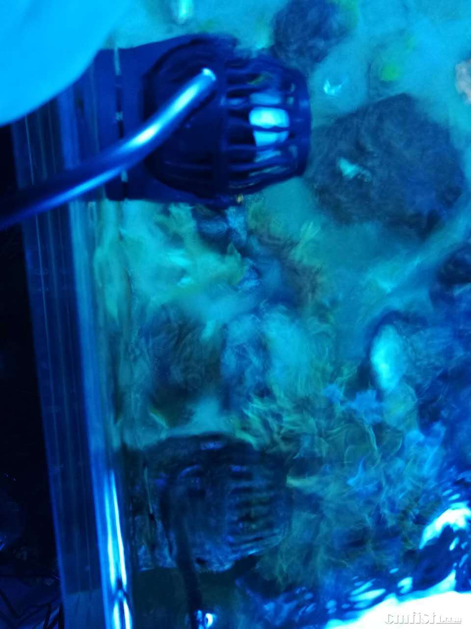 new image - rv48j.jpg