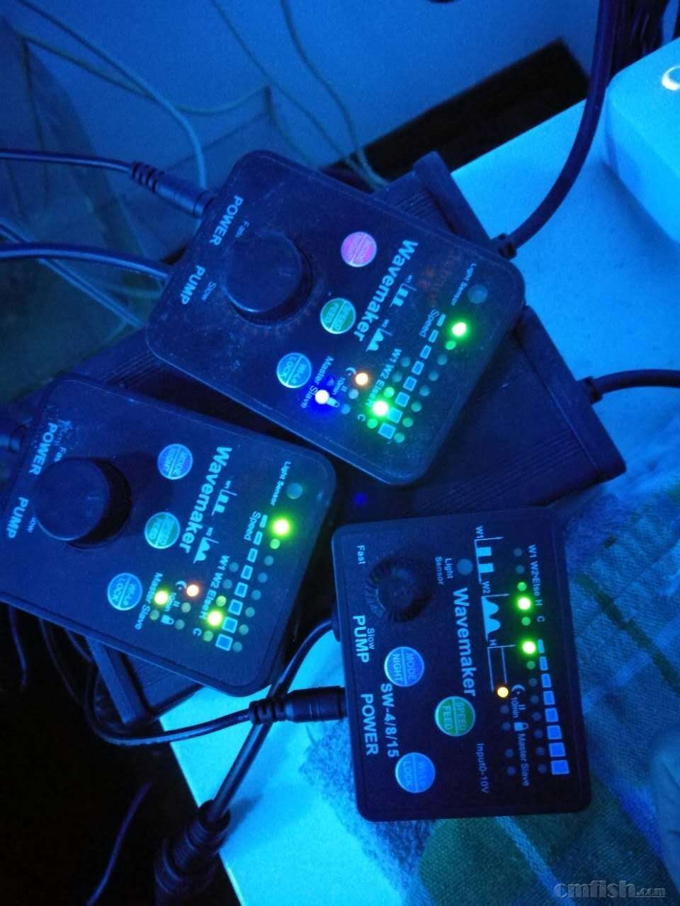 new image - yglws.jpg