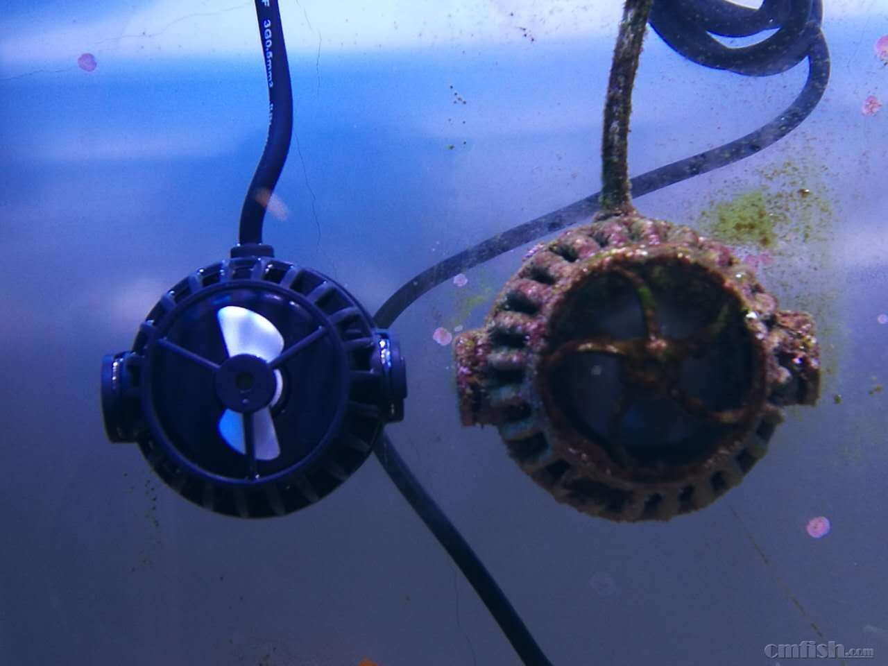 new image - x8a44.jpg