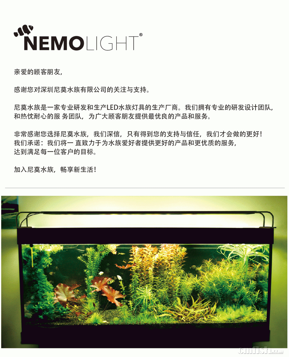 NEMOLIGHT