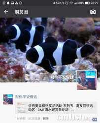 Screenshot_2017-01-01-20-27-22.jpg