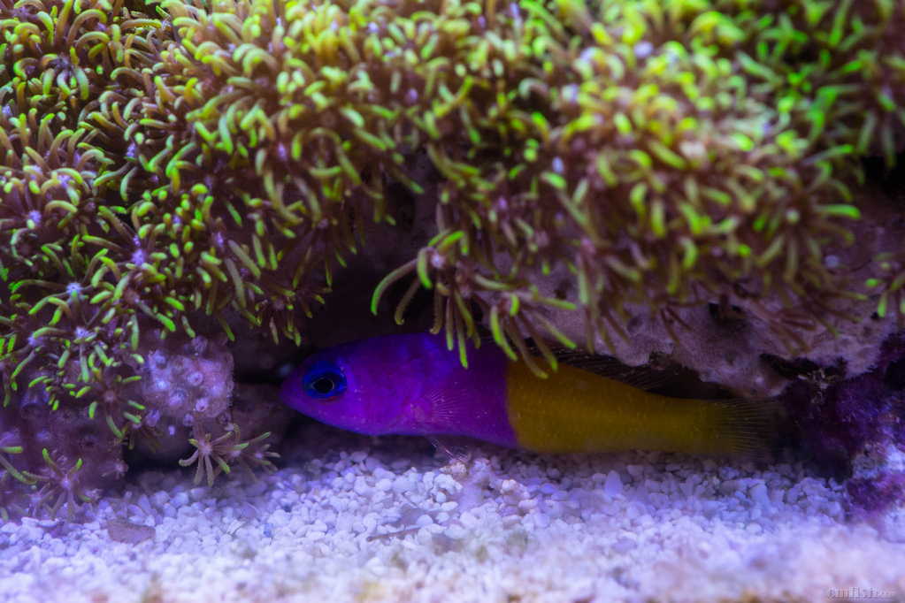 DSC00947的副本.jpg