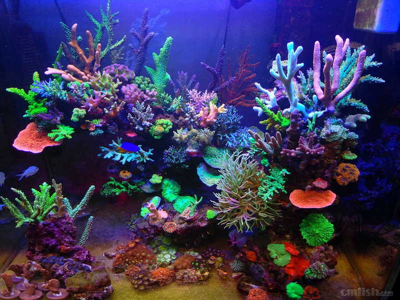 P70105-205402 (2).jpg