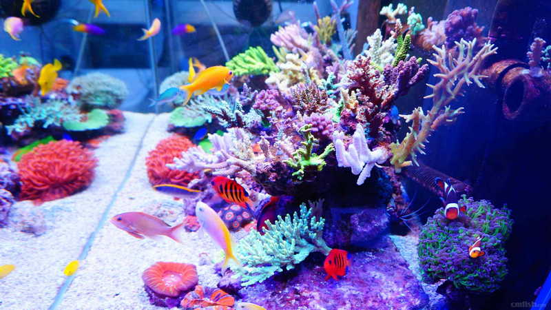 ������Զ��Ӳ��