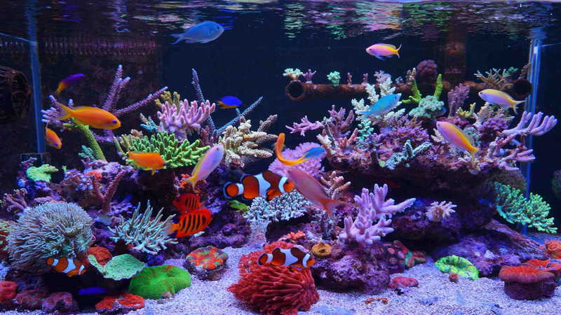 ������״