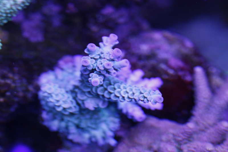 QQͼƬ20170110145139.jpg