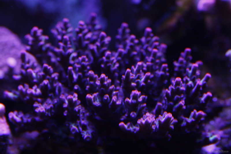QQͼƬ20170110145206.jpg