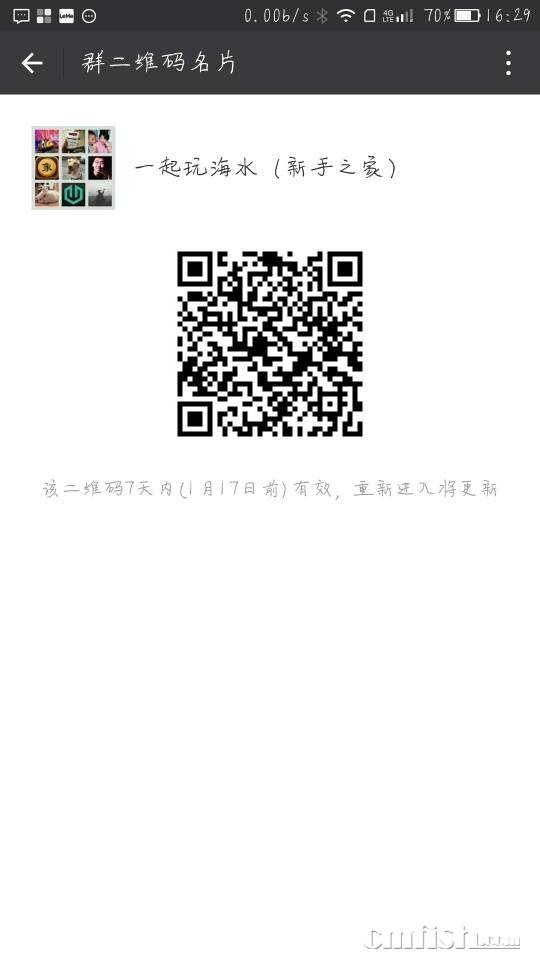 162402shh8hvv28cjv2ghj.jpg