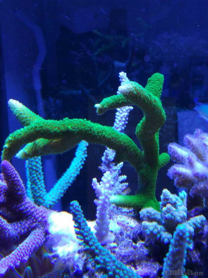 201001edz9g4szacbbswaz.jpg