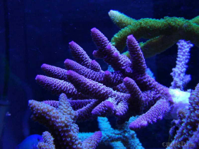 201001yone72rk7q0n2pqq.jpg
