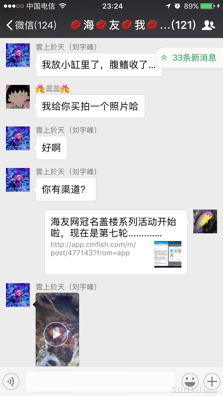 231746c8dxbvhqqxphqnhx.jpg