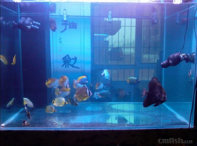 FOT�������ѼҼ��ߣ�